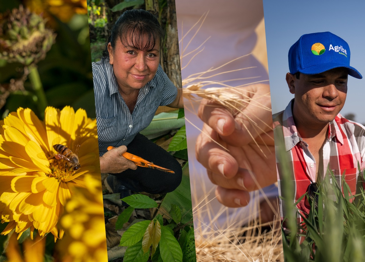 https://www.pepsico.com.mx/images/mexicolibraries/1_news/latam_comms_agriculturapositiva_240305_01.jpeg