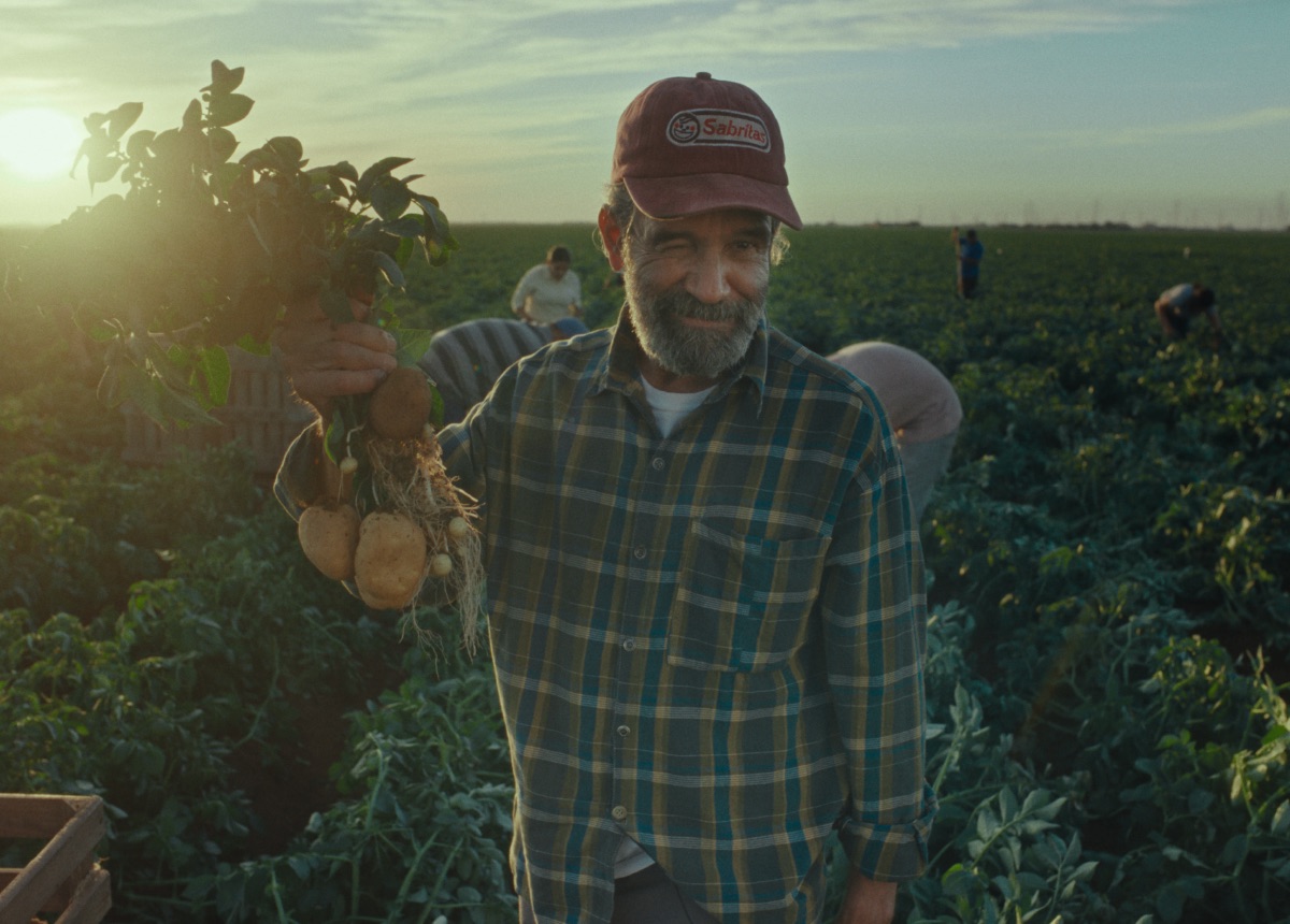 https://www.pepsico.com.mx/images/mexicolibraries/1_news/latam_comms_header-web_el-guardian-de-las-papas-02.jpeg