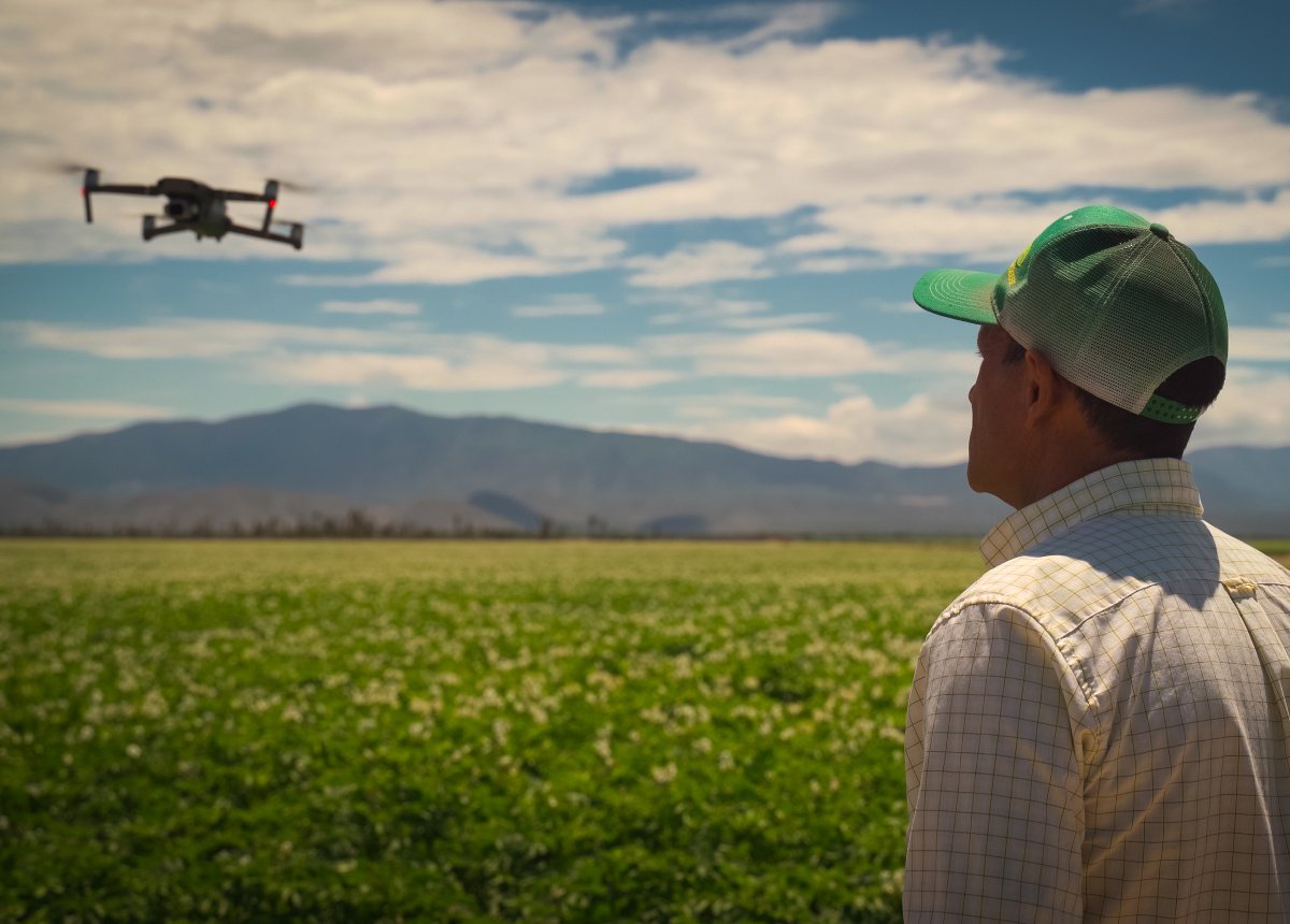 Agricultura positiva para el campo mexicano