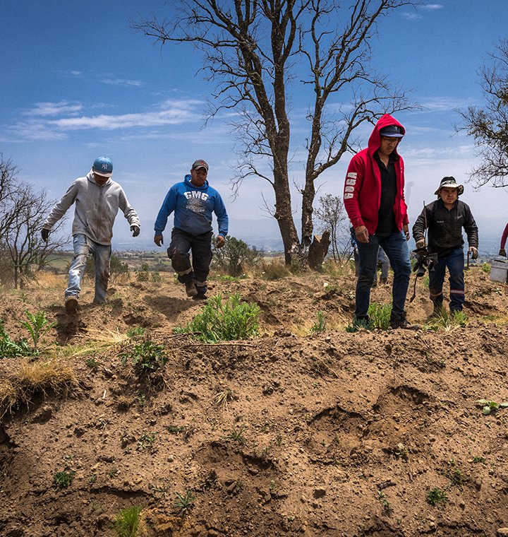 People walking on a mostly dirt hill